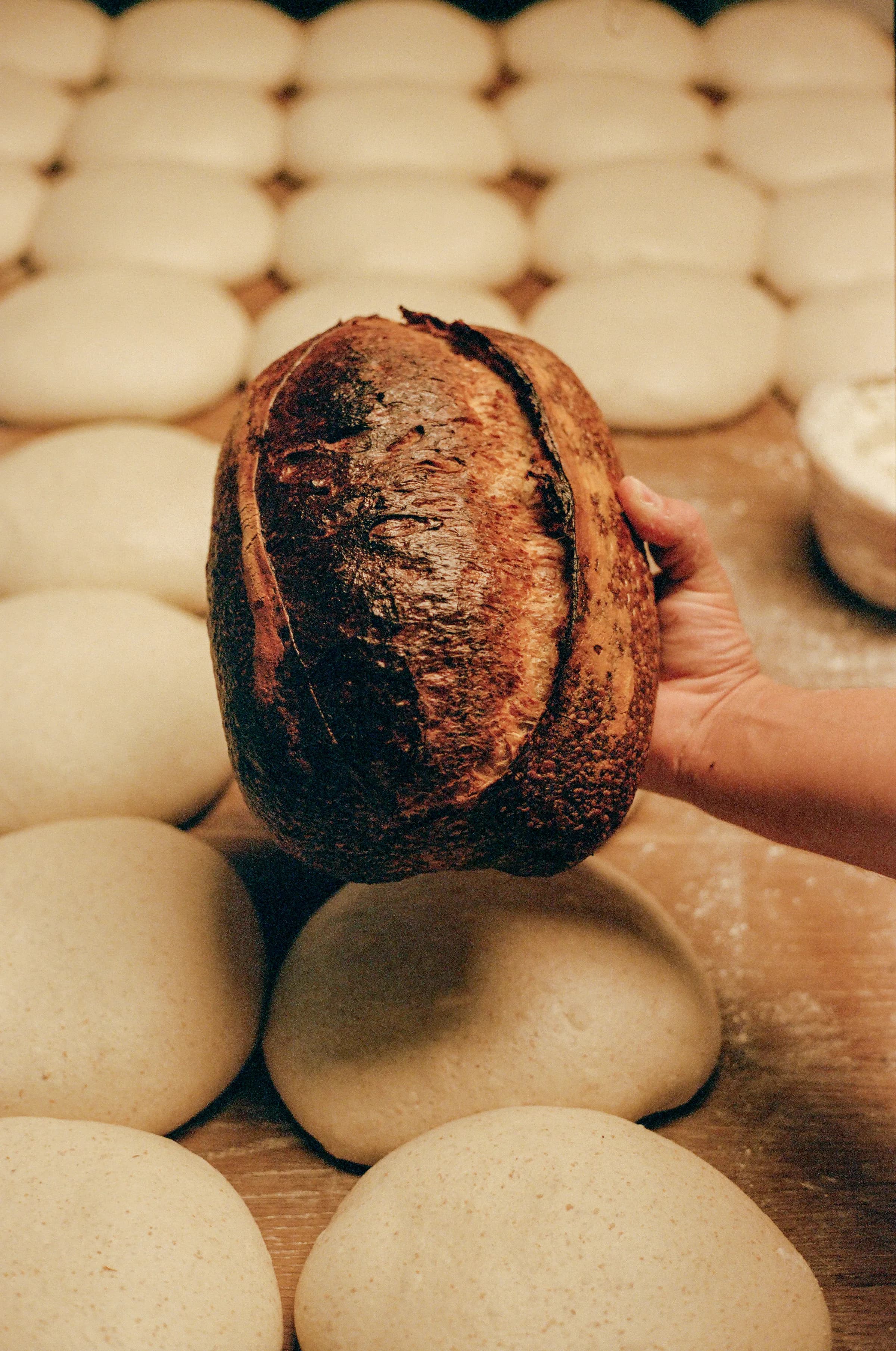 ACID artisan bread